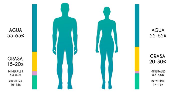 Esquema visual de un análisis valoración corporal